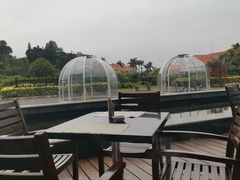 -厦门悦华酒店·绿庭主题自助餐厅
