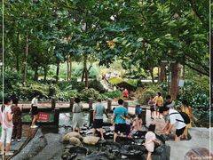 -成都市活水公园
