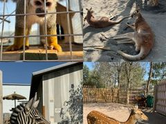 -水上乐园·欢乐世界