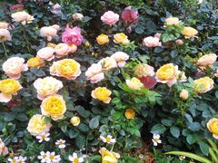 -人民公园(罗湖区)