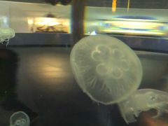 -常州海昌海洋探索馆