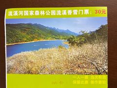 -广州市流溪河国家森林公园
