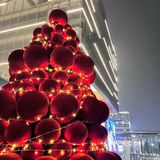 温州超适合节日约会拍照的餐厅