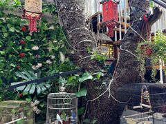 -丽江庭院·云南野生菌·海鲜火锅(鼓楼四合院店)