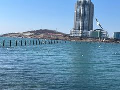 -青岛第二海水浴场