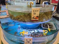 -至尊强仔(正光北街店)
