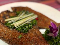 -香巴拉云南餐厅(华莱坞店)