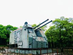 -上海吴淞炮台湾国家湿地公园