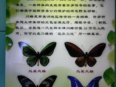 -上海昆虫博物馆