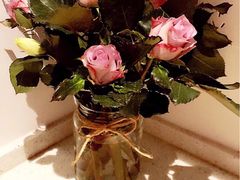 -沪花拾者(好再来花卉鲜花店)