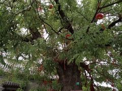 -杨家埠民间艺术大观园