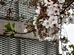 -龙美术馆(西岸馆)