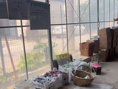 -马陆小张葡萄园农家乐