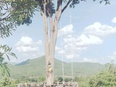 -大树秋千