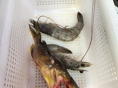 -牛吉韵·鲜切牛肉自助火锅(南山店)