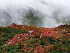 -大围山国家森林公园