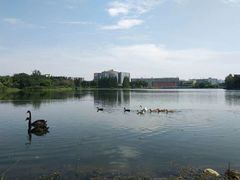 -四川大学(江安校区)