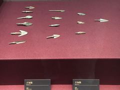 -兴隆文化园景区-兖州博物馆