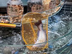 -南棠馆粤菜坊(群光店)