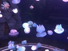 -多彩贵州城极地海洋世界