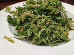 凉拌苦菊-郑庄脂渣海鲜楼(九水路店)