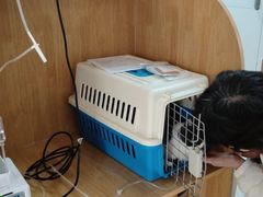-美联众合动物医院·24h京西诊疗中心