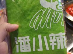 -潘小辣鲜肉老火锅
