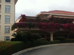 -三亚亚龙湾金棕榈度假酒店