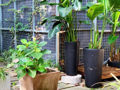 -谷咖啡·鲜花绿植花园餐厅