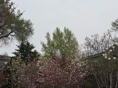-张学良旧居陈列馆