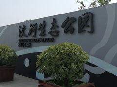 -洨河生态公园