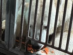 -泉城欧乐堡海洋极地世界