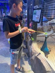 -酷嗒动物文化乐园(cutezoo西溪乐天城店)