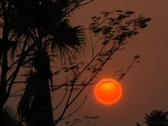 -天空花园餐吧·生日·团建(南山店)