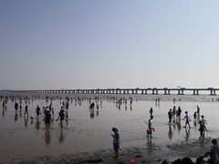 -南汇新城海滩