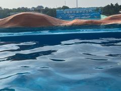 -泉城欧乐堡水上世界