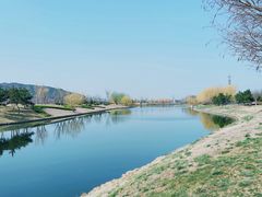 -羊亭河湿地公园