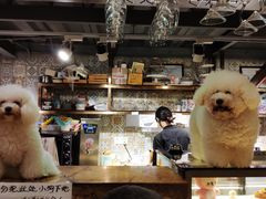 -more than meow吴止猫主题餐厅(承德 中船汇店)