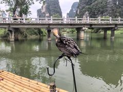 -明仕田园