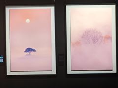 -罗红摄影艺术馆