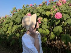 -广西壮族自治区药用植物园