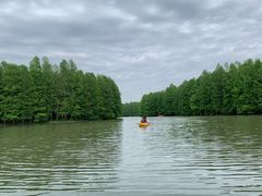 -上海海湾国家森林公园