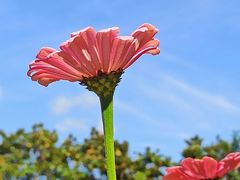 -共青国家森林公园-南大门停车场