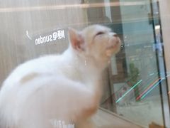 -KKV(深圳宏发大仟里店)