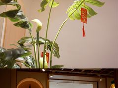 -森Some Fusion(荔湾店)