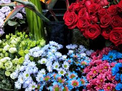 -ChaKo Flora ·茶子花艺 (市北店)