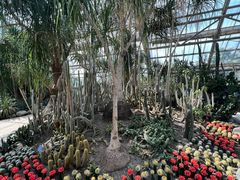 -南山植物园
