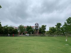 -上海长兴岛郊野公园