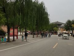 -茯茶镇