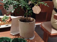 -CURRY YA 熟成咖哩專門店(深圳湾万象城店)